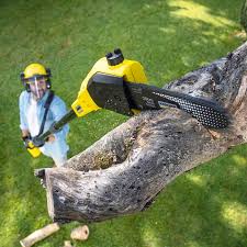 Best Organic Lawn Care Solutions  in Roosevelt Gardens, FL