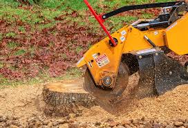 Best Tree Preservation Services  in Roosevelt Gardens, FL