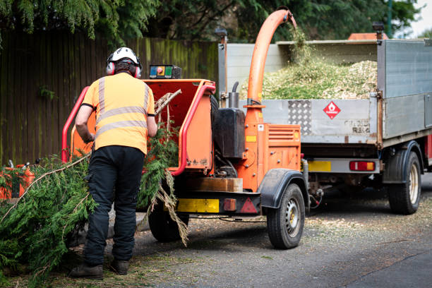 Best Lawn Grading and Leveling  in Roosevelt Gardens, FL
