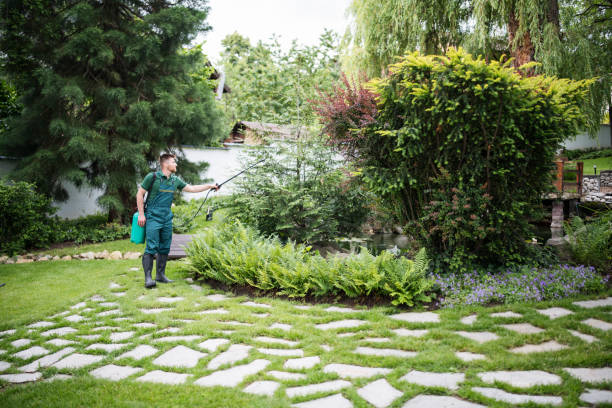 Best Arborist Consultation Services  in Roosevelt Gardens, FL