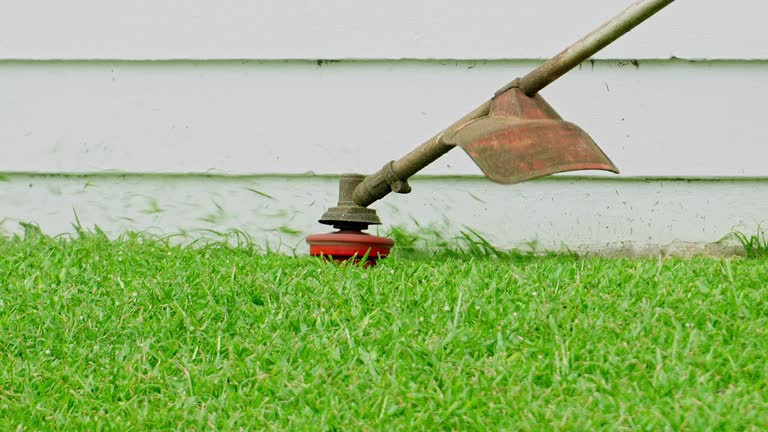 Best Lawn Renovation and Restoration  in Roosevelt Gardens, FL